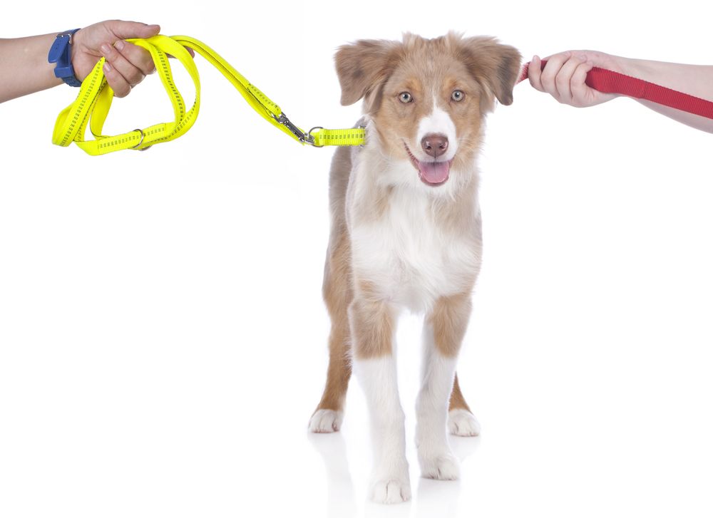 Editorial: December 15, 2023